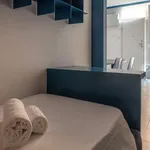 Rent 1 bedroom apartment in bologna