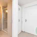 Rent 1 bedroom apartment in Prague