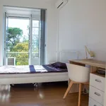 Rent a room in lisbon