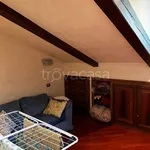 Rent 3 bedroom apartment of 100 m² in Torino