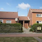 Rent 1 bedroom house of 85 m² in Lemvig