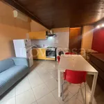 Rent 2 bedroom apartment of 41 m² in Lodi