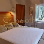 Rent 8 bedroom house of 250 m² in Bagno a Ripoli