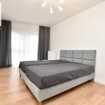 Rent 2 bedroom apartment of 55 m² in Rzeszów