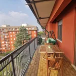 Via Giacomo Matteotti, Milan - Amsterdam Apartments for Rent