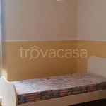 Rent 3 bedroom apartment of 92 m² in Chieti