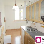 Rent 1 bedroom apartment of 34 m² in Znojmo