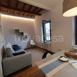 Rent 3 bedroom apartment of 60 m² in Firenze