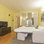 Rent 1 bedroom apartment of 45 m² in Milan