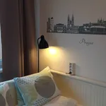 Rent 1 bedroom apartment of 18 m² in Prague