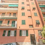 Rent 2 bedroom apartment of 62 m² in Genova