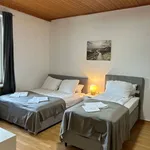 Miete 1 Schlafzimmer wohnung von 484 m² in vienna