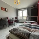 Rent 1 bedroom apartment of 23 m² in Brno