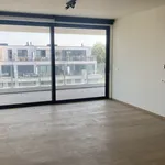 Huur 1 slaapkamer appartement van 61 m² in Waregem