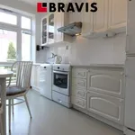 Rent 1 bedroom apartment in Brno