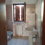 Rent 8 bedroom apartment of 120 m² in Sutri