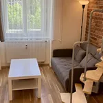 Rent 1 bedroom apartment of 22 m² in Prague