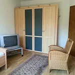 Rent 1 bedroom apartment of 20 m² in Bonn