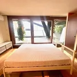 Rent 3 bedroom apartment of 90 m² in Turin