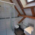 Huur 4 slaapkamer huis van 175 m² in Angerlo's Broek