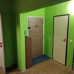 Rent 1 bedroom apartment of 46 m² in Brno