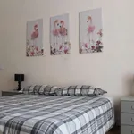 Rent 2 bedroom apartment in turin