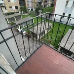 Rent 2 bedroom apartment of 65 m² in Milano