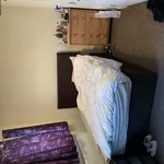 Rent 4 bedroom house in Worcester