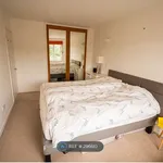 Rent 3 bedroom house in Brighton