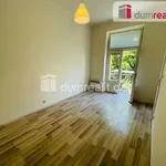 Rent 1 bedroom apartment in Capital City of Prague