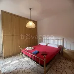 Rent 3 bedroom apartment of 60 m² in Pisa