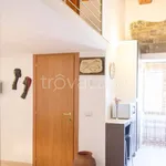 Rent 1 bedroom apartment of 38 m² in Firenze