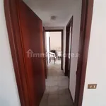 Rent 2 bedroom apartment of 60 m² in Palermo