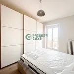 Rent 3 bedroom apartment of 75 m² in Turin