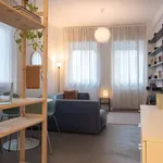 Rent 1 bedroom apartment in milan