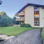 Rent 1 bedroom apartment of 112 m² in Rechthalten