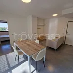 Rent 2 bedroom apartment of 60 m² in Mantova