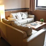 Rent 1 bedroom apartment of 40 m² in Antwerp