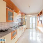 Rent 6 bedroom apartment of 252 m² in Palermo