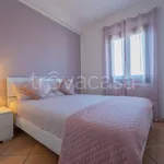 Rent 3 bedroom apartment of 80 m² in Olbia