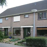 Rent 3 bedroom apartment of 121 m² in Emmen