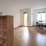 Rent 3 bedroom apartment of 90 m² in Milano