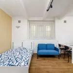 Studio o rozloze 30 m² v prague