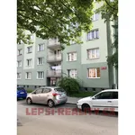 Rent 1 bedroom apartment of 45 m² in Steinera