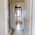 Rent 3 bedroom apartment of 75 m² in Milano