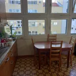 Rent 4 bedroom apartment in Lisbon