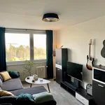 Rent 1 bedroom apartment of 43 m² in Prague