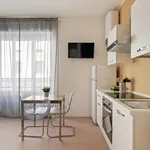 Rent 1 bedroom apartment in Milan