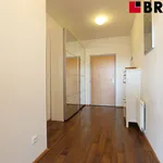 Pronajměte si 2 ložnic/e byt o rozloze 58 m² v Brno