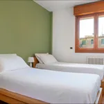 Rent 6 bedroom apartment of 90 m² in Bologna